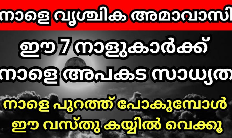 വൃശ്ചികമാസത്തിലെ അമാവാസി ദിവസം ഏഴു നാളുകാർ പ്രത്യേകം ശ്രദ്ധിക്കുക.. 😱