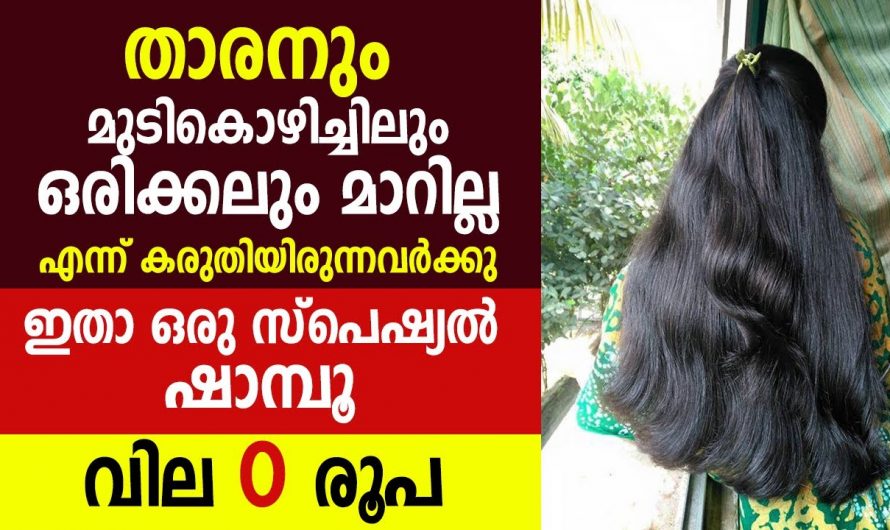 നല്ല തിളക്കവും ആരോഗ്യമുള്ള മുടിയിഴകൾ ലഭിക്കുന്നതിന്…👌