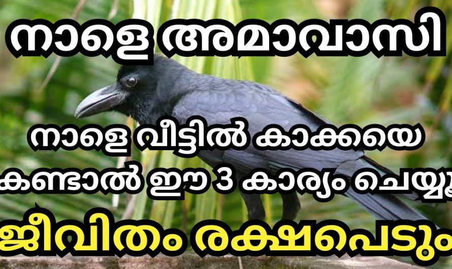 വൃശ്ചിക മാസത്തിലെ കറുത്ത അമാവാസി ദിവസം വീട്ടിൽ കാക്ക വിരുന്നു വന്നാൽ സംഭവിക്കുന്നത്… 👌