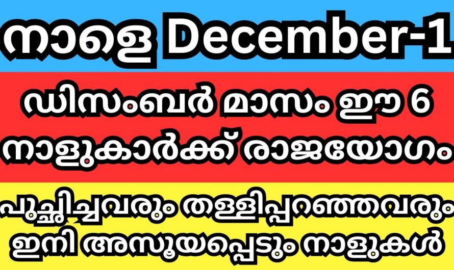 ഡിസംബർ മാസം ഈ നാളുകാർക്ക് വളരെയധികം അനുഗ്രഹം ലഭ്യമാകുന്ന  സമയം.