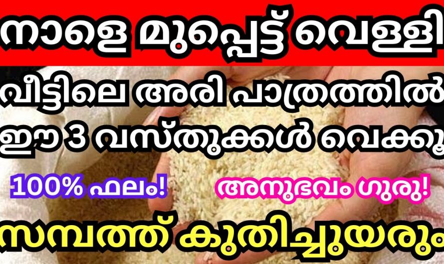 മുപ്പട്ട്  വെള്ളി ദിവസം അരിപ്പാത്രത്തിൽ ഈ വസ്തുക്കൾ നിക്ഷേപിച്ചാൽ കുടുംബം രക്ഷപ്പെടും. 👌