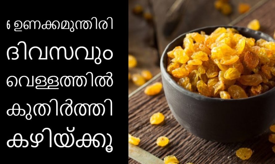 ദിവസം ഉണക്കമുന്തിരി കഴിച്ചു നോക്കൂ ഞെട്ടിക്കും ഗുണങ്ങൾ.😱