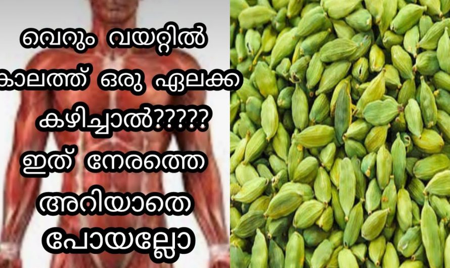 ഒരു ഗ്ലാസ് വെള്ളത്തിൽ അല്പം ഏലക്ക ഇട്ടു കഴിച്ചാൽ ഉള്ള ഗുണങ്ങൾ