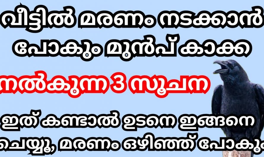 നമ്മുടെ വീടുകളിൽ കാക്ക വന്ന്   ഇത്തരം ലക്ഷണങ്ങൾ കാണിക്കുന്നുണ്ടെങ്കിൽ  വീട്ടിൽ മരണംസംഭവിക്കും…😱