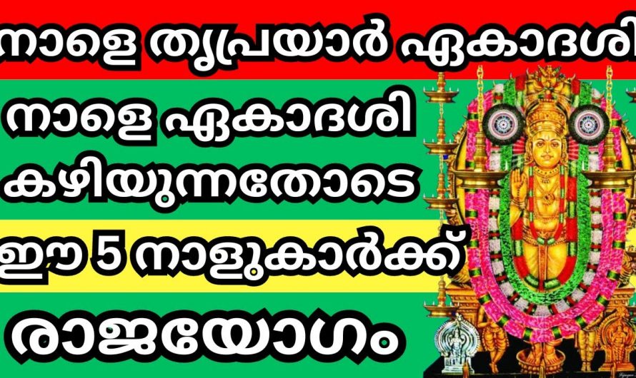 വൃശ്ചിക മാസത്തിലെ നക്ഷത്രക്കാർക്ക് വളരെ നല്ല സമയം..👌