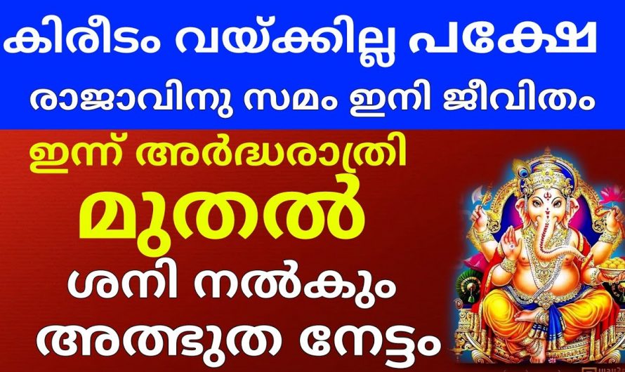 ഇവർ ജെറ്റ് പോലെ കുതിച്ചുയരും, കിരീടം വയ്ക്കാത്ത രാജാക്കന്മാരെ പോലെ വാഴും…🥰