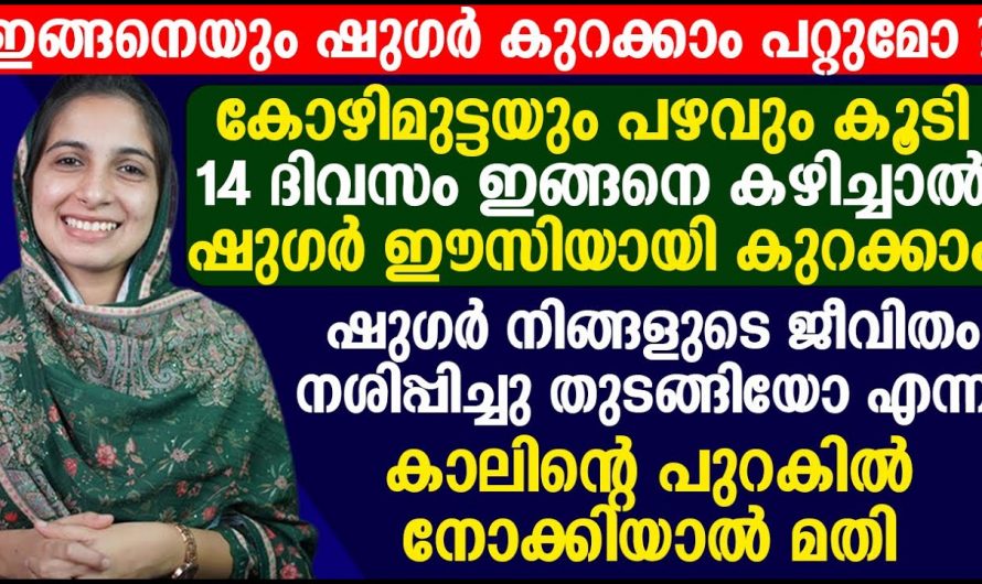 എത്ര കടുത്ത പ്രമേഹവും എളുപ്പത്തിൽ പരിഹരിക്കാം…    😱