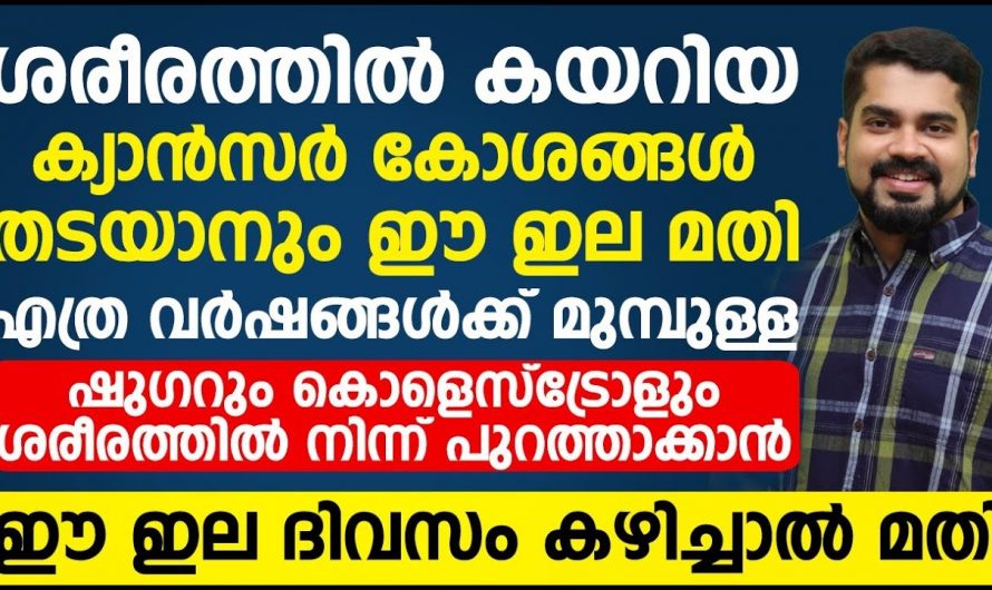 ജീവിതശൈലി രോഗങ്ങളും ക്യാൻസറും വരാതിരിക്കാൻ ഈയൊരു ഇല ഭക്ഷണത്തിൽ ഉൾപ്പെടുത്തിയാൽ മതി..👌