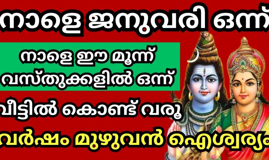 2024 ജനുവരി ഒന്നിന് വീട്ടിൽ ഈ വസ്തുക്കൾ കൊണ്ടുവന്നാൽ ഐശ്വര്യം നേടാം.👌