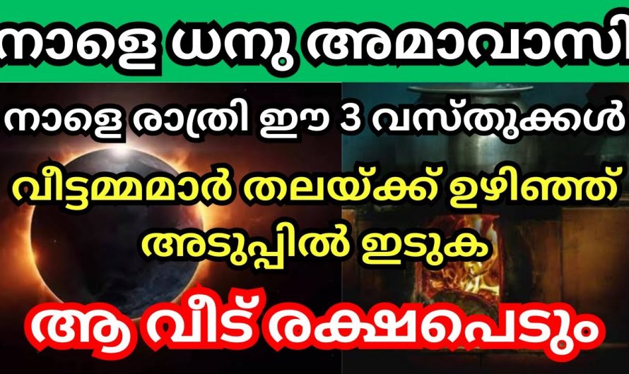 ധനുമാസത്തിലെ അമാവാസി ദിവസം ഈയൊരു കാര്യം ചെയ്താൽ ജീവിതം രക്ഷപ്പെടും..👌