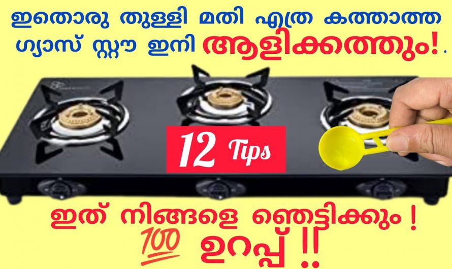 ഗ്യാസ് സ്റ്റൗ ക്ലീൻ ചെയ്യുന്നതിനും നല്ല രീതിയിൽ കത്തുന്നതിനും വീട്ടിൽ ചെയ്യാൻ സാധിക്കുന്ന കിടിലൻ വഴി. 👌