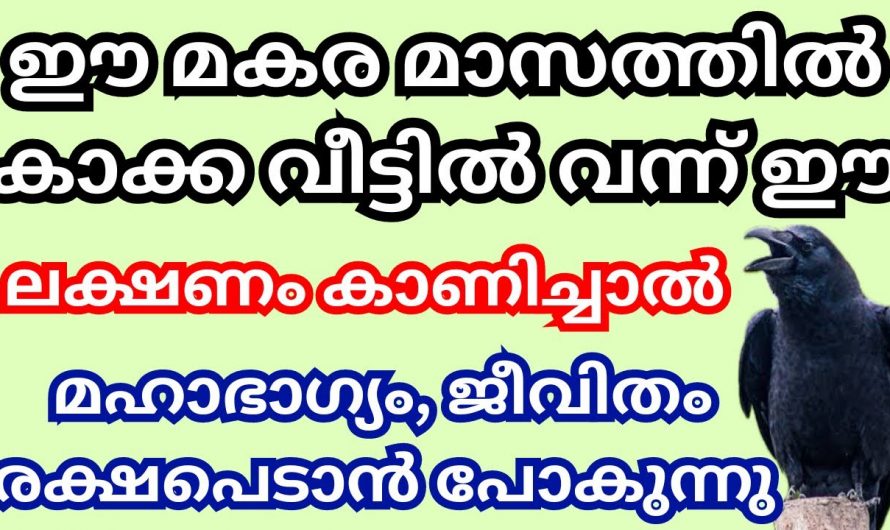 ശനിയുടെ അനുഗ്രഹം ഇത്തരം ലക്ഷണങ്ങൾ ഉണ്ടെങ്കിൽ തീർച്ചയായും നിങ്ങൾക്ക് ലഭ്യമാകും..👌