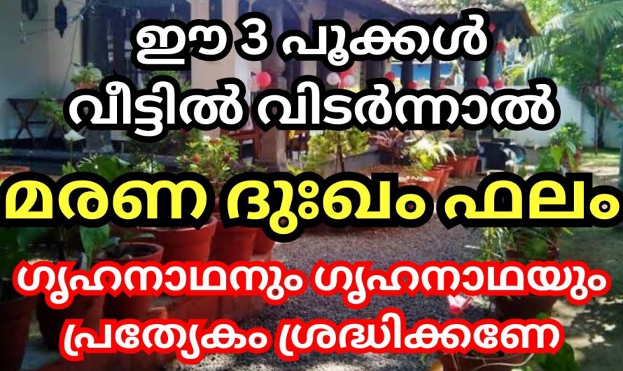 ഈ പൂക്കൾ വീട്ടിൽ പൂത്താൽ ഇരട്ടി ദോഷം ശ്രദ്ധിക്കണം എല്ലാവരും…😱