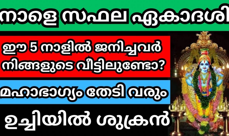 സഫല ഏകദേശി കഴിഞ്ഞാൽ ഈ അഞ്ചു നാളുകൾക്ക് വെച്ചടി കയറ്റം.👌