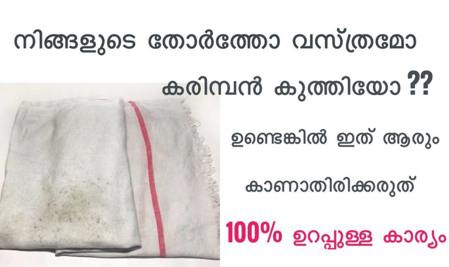 വസ്ത്രങ്ങളിലെ  കരിമ്പൻ എളുപ്പത്തിൽ നീക്കം ചെയ്യാൻ…👌