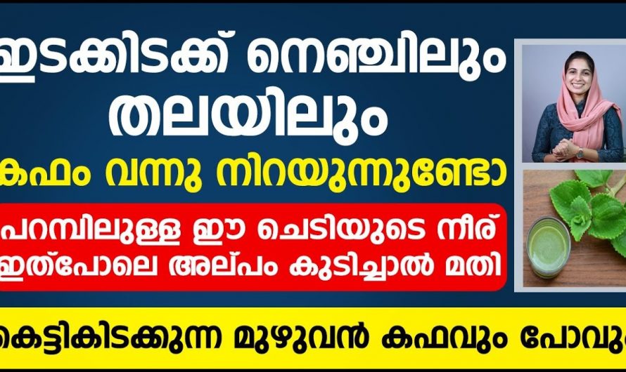 നെഞ്ചിൽ കെട്ടിക്കിടക്കുന്ന കഫം മുഴുവൻ ഇല്ലാതാക്കാം🤔