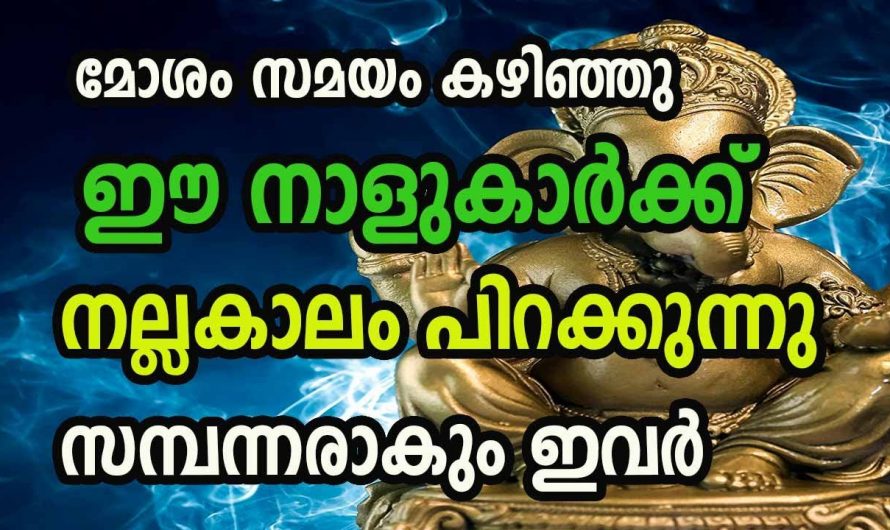 ജീവിതത്തിൽ മകരമാസം മുതൽ ഉയർച്ചകൾ ചേരുന്ന നക്ഷത്രങ്ങൾ.. 🥰