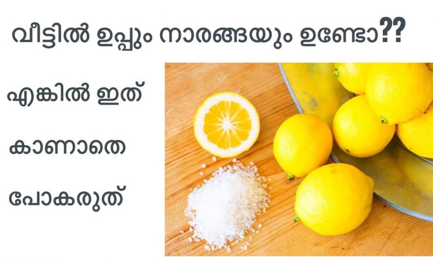 ഉപ്പു നാരങ്ങയും ഇത്തരത്തിൽ അടുക്കളയിൽ ഉപയോഗിച്ച് നോക്കൂ. 👌