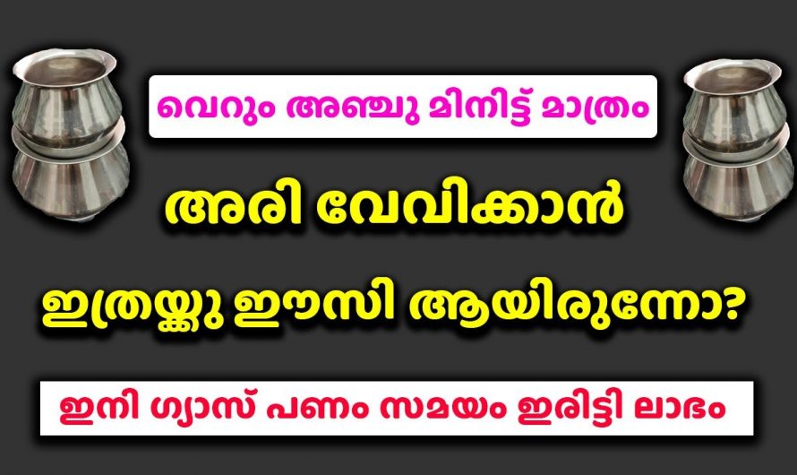 ചോറ് വെക്കാൻ ഇനി ഗ്യാസും വിറകും അധികം  ചെലവാക്കേണ്ട ഇതാ കിടിലൻ വഴി…😱