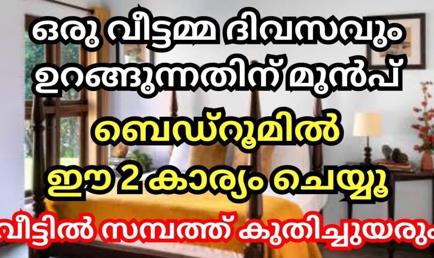 വീട് രക്ഷപ്പെടണമെങ്കിൽ വീട്ടമ്മമാർ ഒരു കാര്യം ചെയ്താൽ മതി..👌