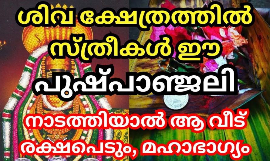 ശിവ ഭഗവാനെ ഈ വഴിപാട് ചെയ്താൽ ലഭിക്കുന്ന ഗുണങ്ങൾ..🥰