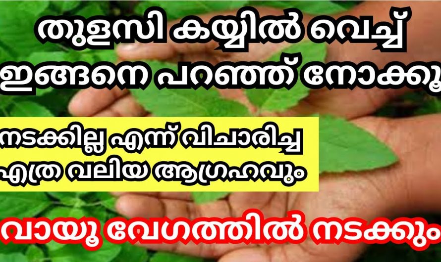 കയ്യിൽ തുളസി വെച്ച്  പ്രാർത്ഥിച്ചാൽ ഏതുനുഗ്രഹവും സാധ്യമാകും. 👌