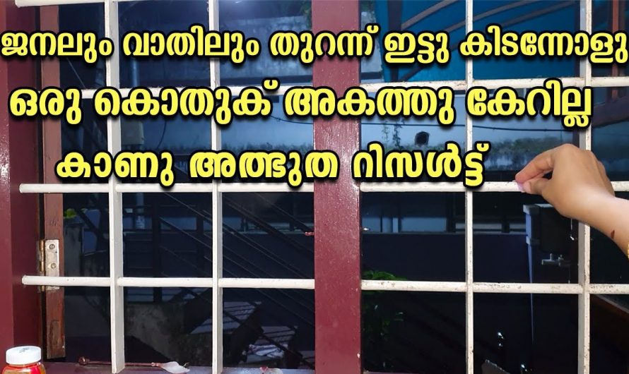 കൊതുകിനെ വീട്ടിൽ നിന്ന് ഒഴിവാക്കുവാൻ വളരെ സിമ്പിൾ ആയ ഒരു മാർഗ്ഗം 🤔