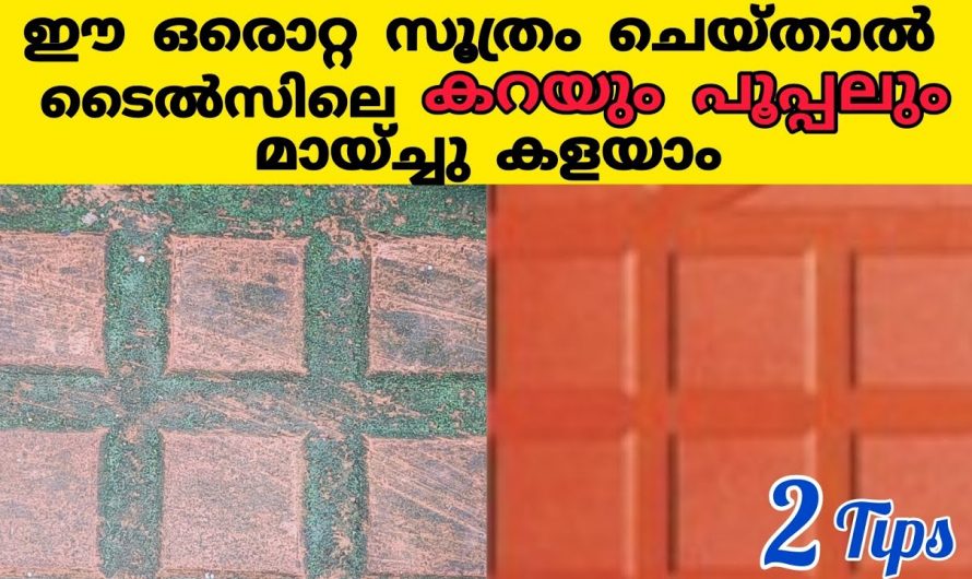 ടൈലിലെ എത്ര പഴകിയ കറയും പൂപ്പലും എളുപ്പത്തിൽ നീക്കം ചെയ്ത് ടൈലിന് പുതിയതാക്കാം…👌