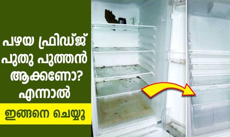 വീട്ടിലെ പഴയ ഫ്രിഡ്ജ് പുത്തൻ പുതിയത് പോലെ ആക്കണമോ  ഇതാ കിടിലൻ മാർഗ്ഗം..👌