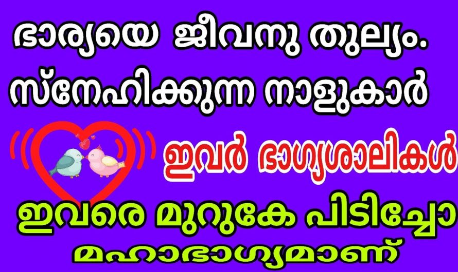 സ്വന്തം ഭാര്യയെ ജീവന് തുല്യം സ്നേഹിക്കുന്ന നക്ഷത്രക്കാർ…👌