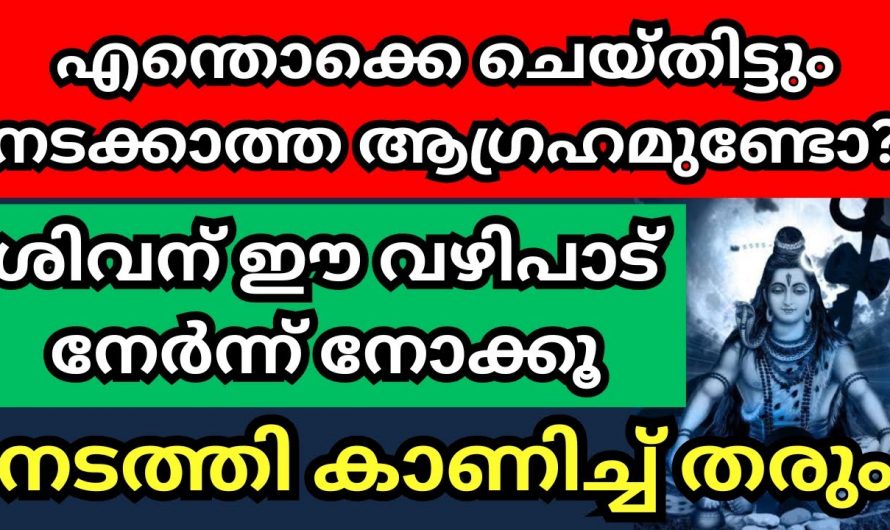 ശിവക്ഷേത്രത്തിൽ ഈ വഴിപാട് ചെയ്താൽ ആഗ്രഹിച്ച കാര്യം പെട്ടെന്ന് തന്നെ സാധ്യമാകും. 👌