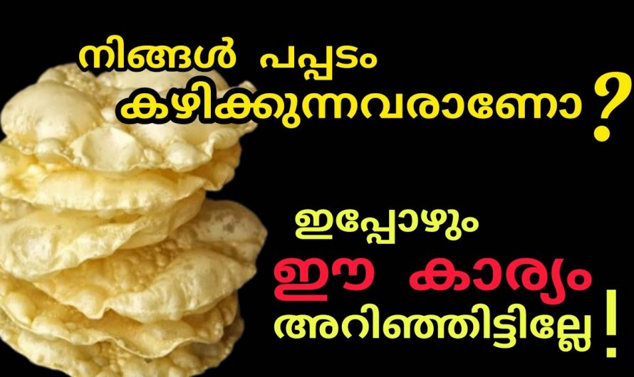 പപ്പടത്തിൽ മായമോ?എങ്ങനെ കണ്ടെത്താം🤔