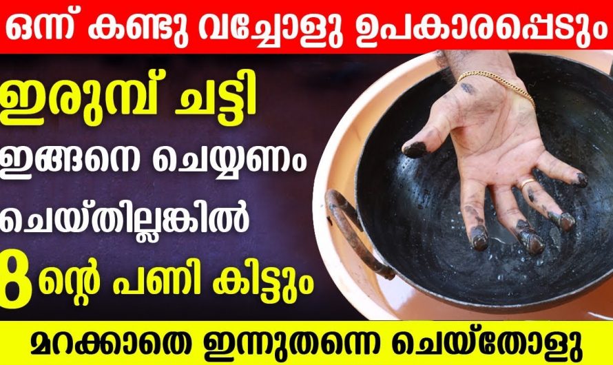 ഇരുമ്പ് ചട്ടി ഇങ്ങനെ ഉപയോഗിച്ചില്ലെങ്കിൽ മുട്ടൻ പണി കിട്ടും…👌