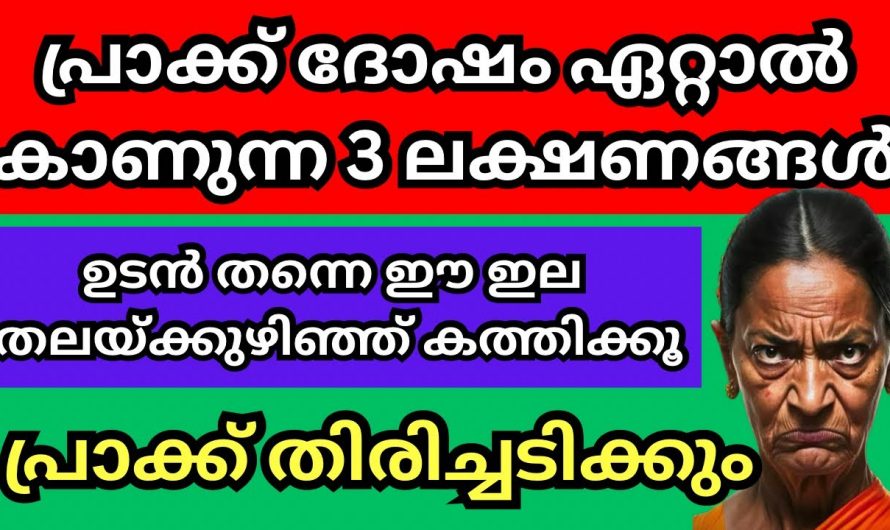 എത്ര വലിയ പ്രാക്ക് ദോഷവും ഈയൊരു കാര്യം ചെയ്താൽ മാറും…😱