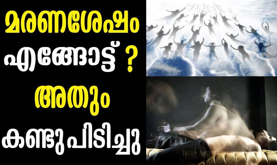 മരണശേഷം എന്താണ് സംഭവിക്കുന്നത് എന്ന് അറിഞ്ഞിട്ടുണ്ടോ എങ്കിൽ ഇതാ…