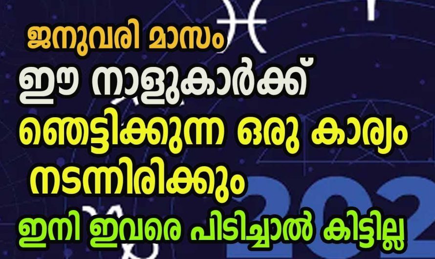 വിചാരിച്ച കാര്യങ്ങൾ നടപ്പിലാക്കുന്ന നക്ഷത്രങ്ങൾ. 👌