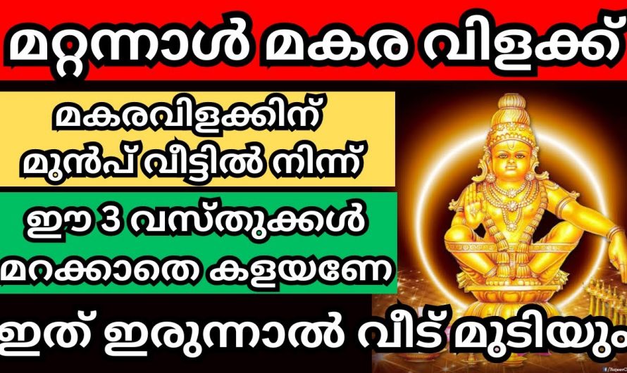 മകരവിളക്ക് വരുമ്പോൾ ഇക്കാര്യങ്ങൾ വീട്ടിൽ പ്രത്യേകം ശ്രദ്ധിക്കുക…😱