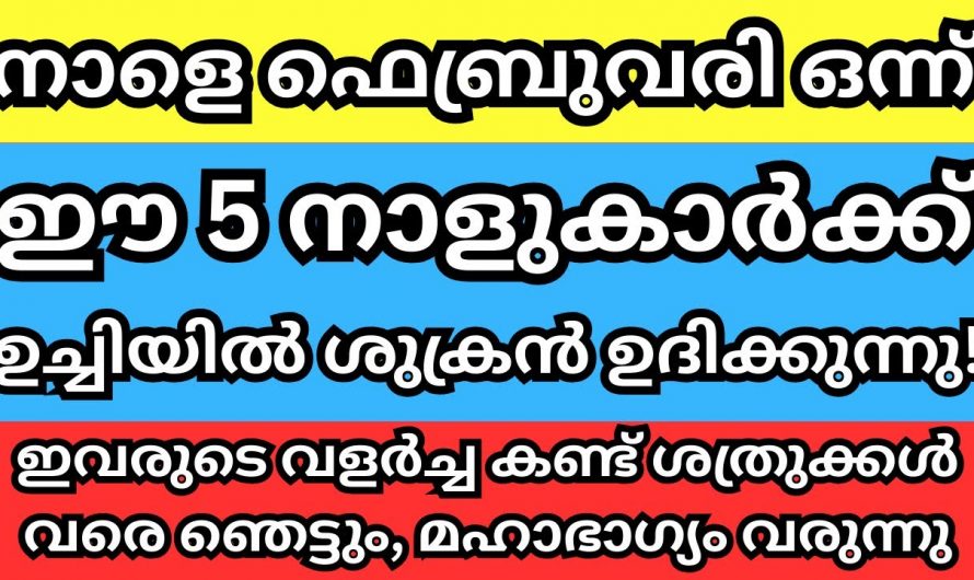 ഫെബ്രുവരി മാസം ഈ നക്ഷത്രക്കാർക്ക്  അനുഗ്രഹത്തിന്റെ വാതിൽ തുറക്കപ്പെടും…