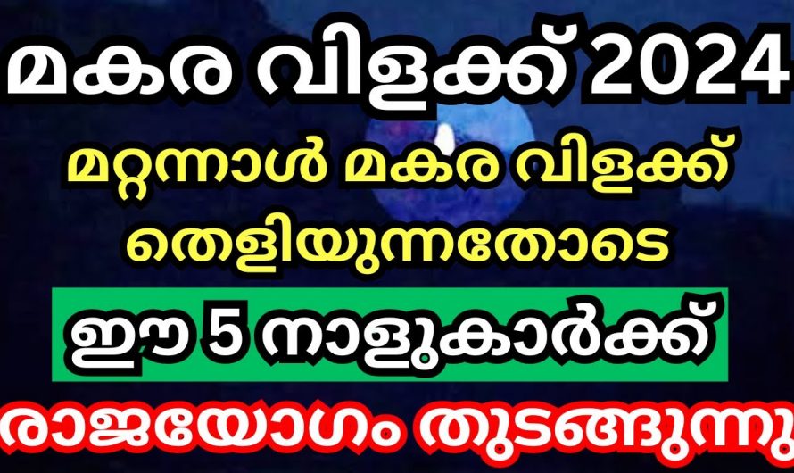 മകരവിളക്ക് കഴിയുമ്പോൾ 7 നക്ഷത്രക്കാരുടെ ഭാഗ്യം തെളിയുന്നു… 👌