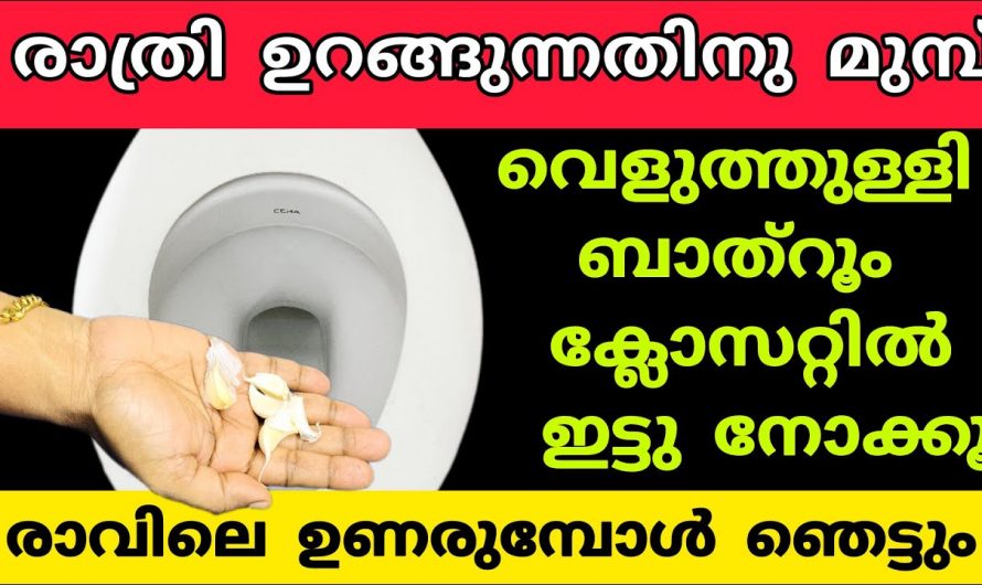 ക്ലീനിങ് ഇനി പേടിക്കേണ്ടതില്ല ഒരു പാറ്റ പോലും അടുക്കളയിൽ വരികയില്ല 🤔