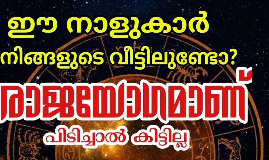 ഞെട്ടിക്കുന്ന കാര്യം 2024 സാധ്യമാകുന്ന നക്ഷത്രക്കാർ. 👌