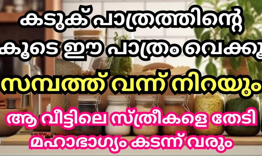 അടുക്കളയിൽ കടുക് സൂക്ഷിക്കുമ്പോൾ ഒരു കാര്യം ശ്രദ്ധിച്ചാൽ വീട്ടിൽ സമ്പത്ത് കുതിച്ചുയരും…😱