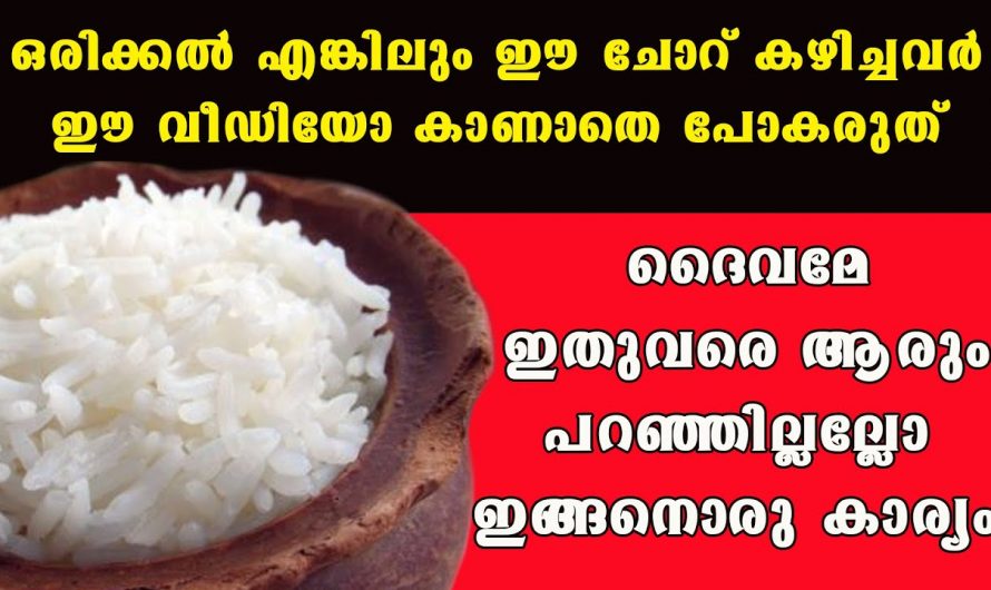 അമിതമായി ചോറ് കഴിച്ചാൽ ആരോഗ്യത്തിൽ സംഭവിക്കുന്നത്..😱