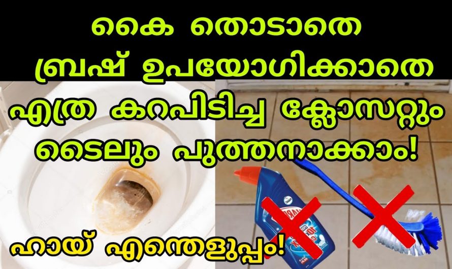 ബാത്റൂം ക്ലോസറ്റ് വളരെ വൃത്തിയോടുകൂടി ഇരിക്കാൻ…