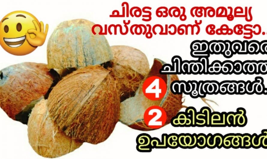 ചിരട്ട ഉപയോഗിച്ചുകൊണ്ട് ഇനിയും ചെയ്യാൻ പറ്റുമായിരുന്നോ.