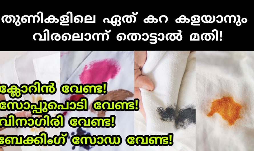 വെള്ള വസ്ത്രങ്ങളിലെ കറ ഇനി മാറ്റുവാൻ ഇത്ര മാത്രം ചെയ്താൽ മതി.