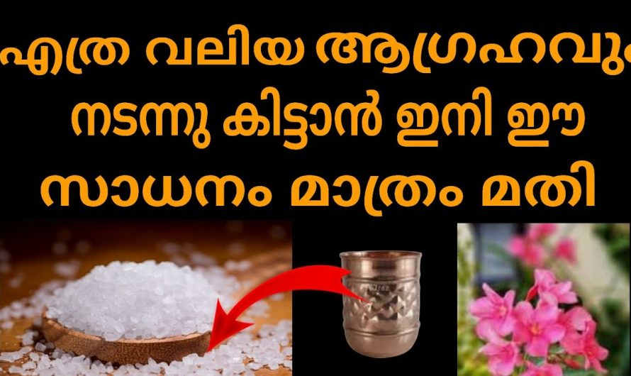 കുടുംബത്തിൽ സമാധാനവും സമ്പത്തും ഐശ്വര്യം വർധിക്കാൻ ഈ ഒരു കാര്യം ചെയ്താൽ മതി.