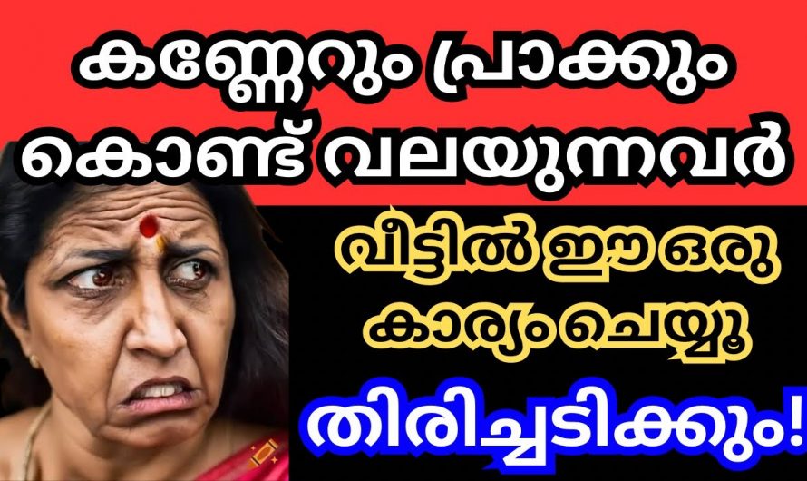 കണ്ണേറ്ദോഷം പ്രാക്ക് എന്നിവ പരിഹരിക്കാൻ ഇതാ കിടിലൻ വഴി..