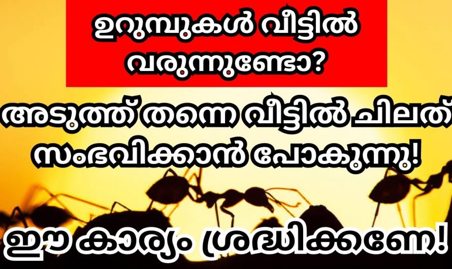 നിങ്ങളുടെ വീട്ടിൽ ഉറുമ്പുകൾ ധാരാളമായി കാണപ്പെടുന്നുണ്ടോ? എങ്കിൽ ഇക്കാര്യം ഉറപ്പാണ്..