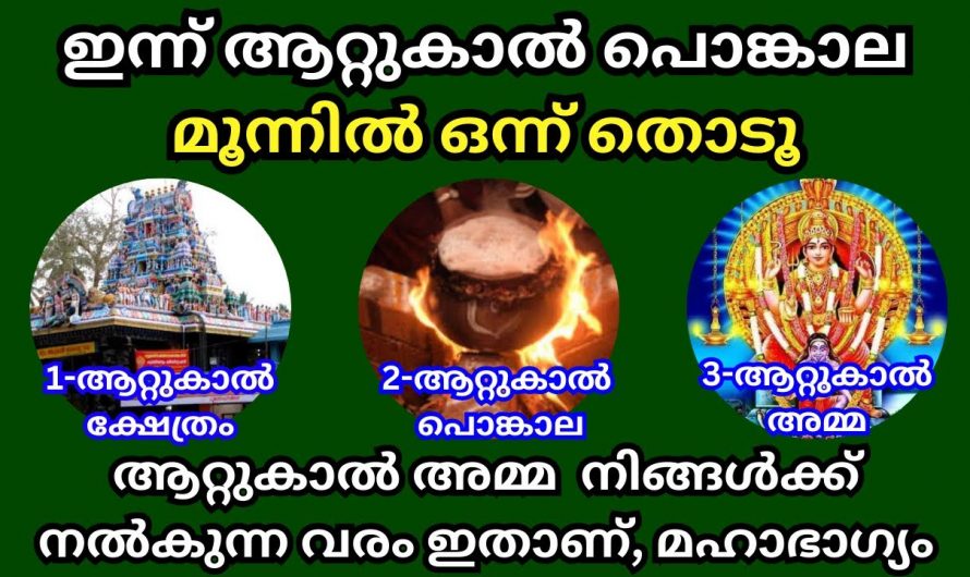 ഈ ചിത്രത്തിൽ ഒരു ചിത്രം തെരഞ്ഞെടുക്കുക  നിങ്ങളുടെ ജീവിതത്തിലെ ഉയർച്ച താഴ്ചകളെക്കുറിച്ച് മനസ്സിലാക്കുക..